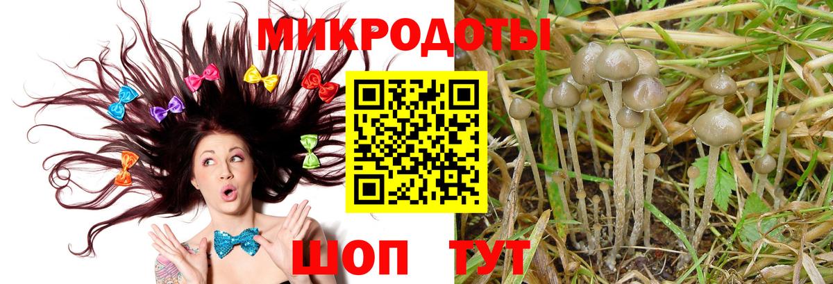Псилоцибиновые грибы GOLDEN TEACHER  Вход с VPN  Гусь-Хрустальный 